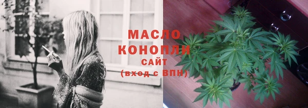 индика Гусь-Хрустальный
