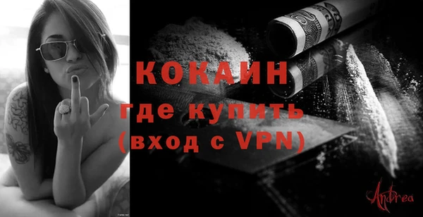 индика Гусь-Хрустальный