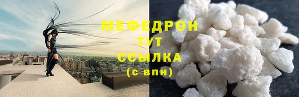 индика Гусь-Хрустальный