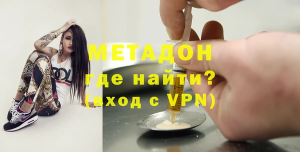 индика Гусь-Хрустальный