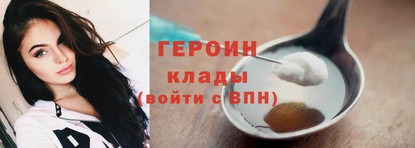 индика Гусь-Хрустальный