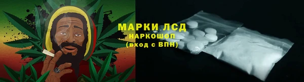 индика Гусь-Хрустальный