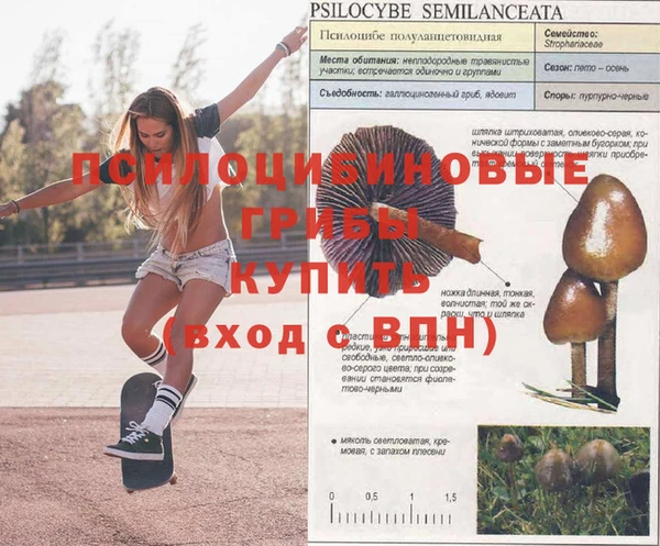 spice Гусев