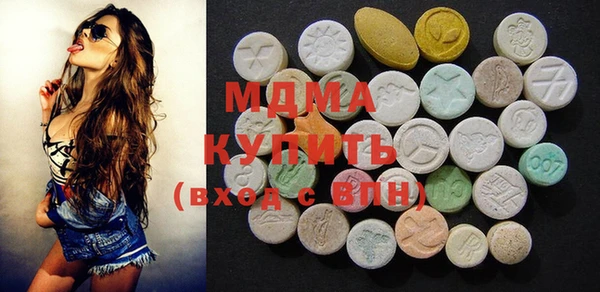 индика Гусь-Хрустальный
