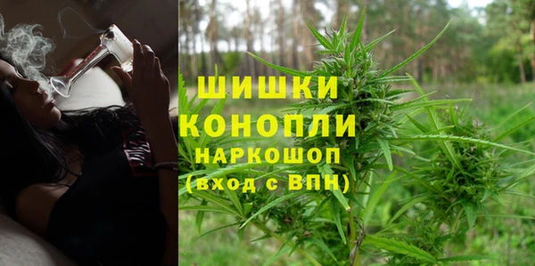 индика Гусь-Хрустальный