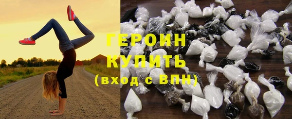 индика Гусь-Хрустальный