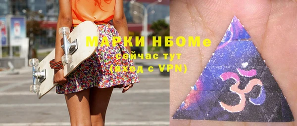 индика Гусь-Хрустальный