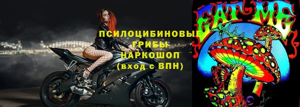 индика Гусь-Хрустальный