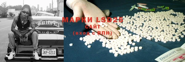 spice Гусев