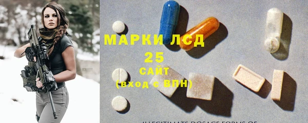 spice Гусев