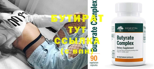 индика Гусь-Хрустальный